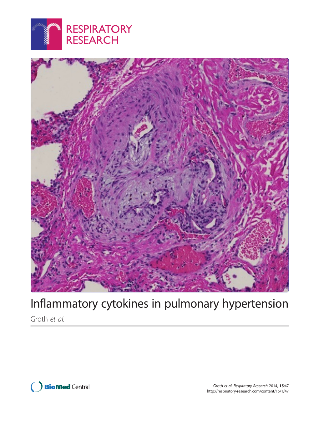 Inflammatory Cytokines in Pulmonary Hypertension Groth Et Al
