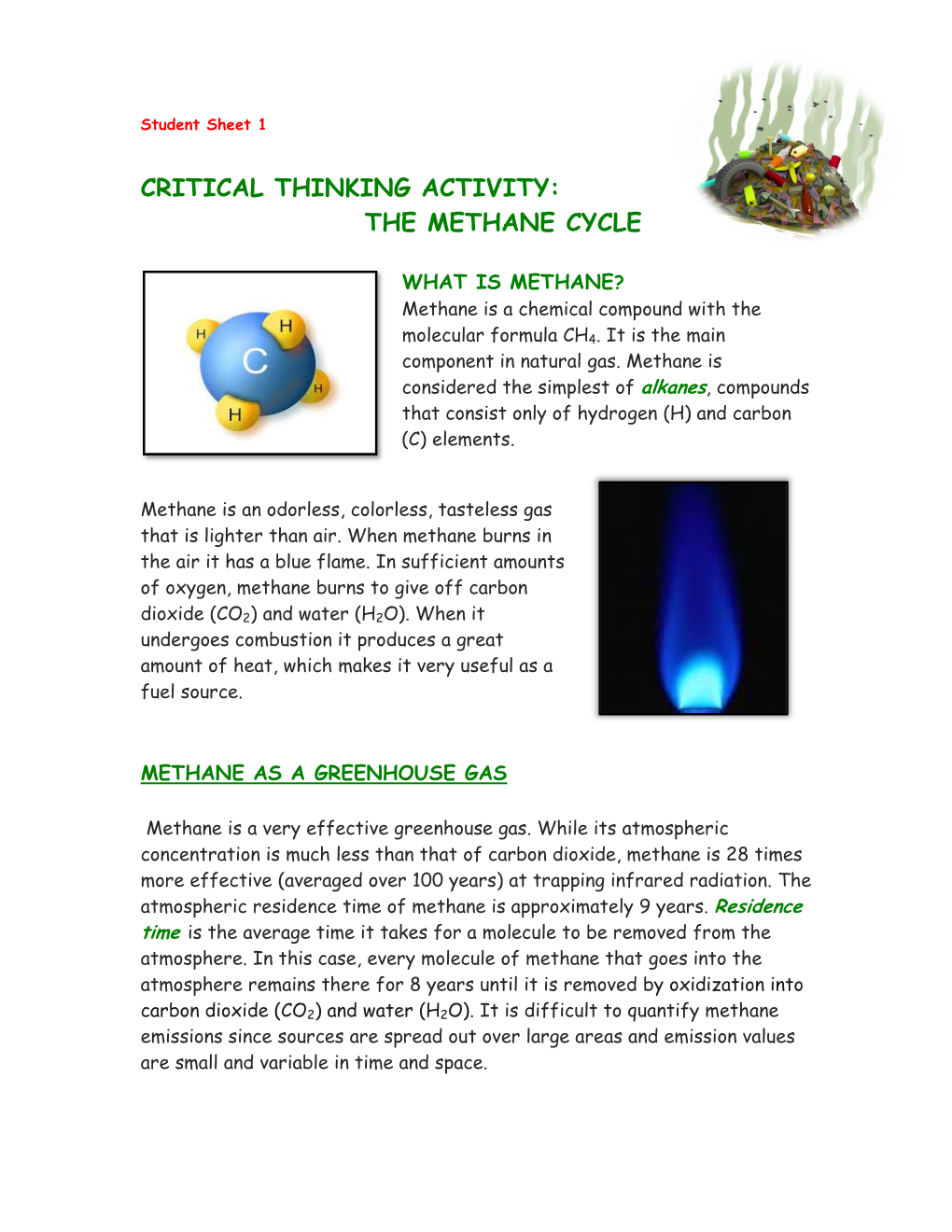 Critical Thinking Activity: the Methane Cycle