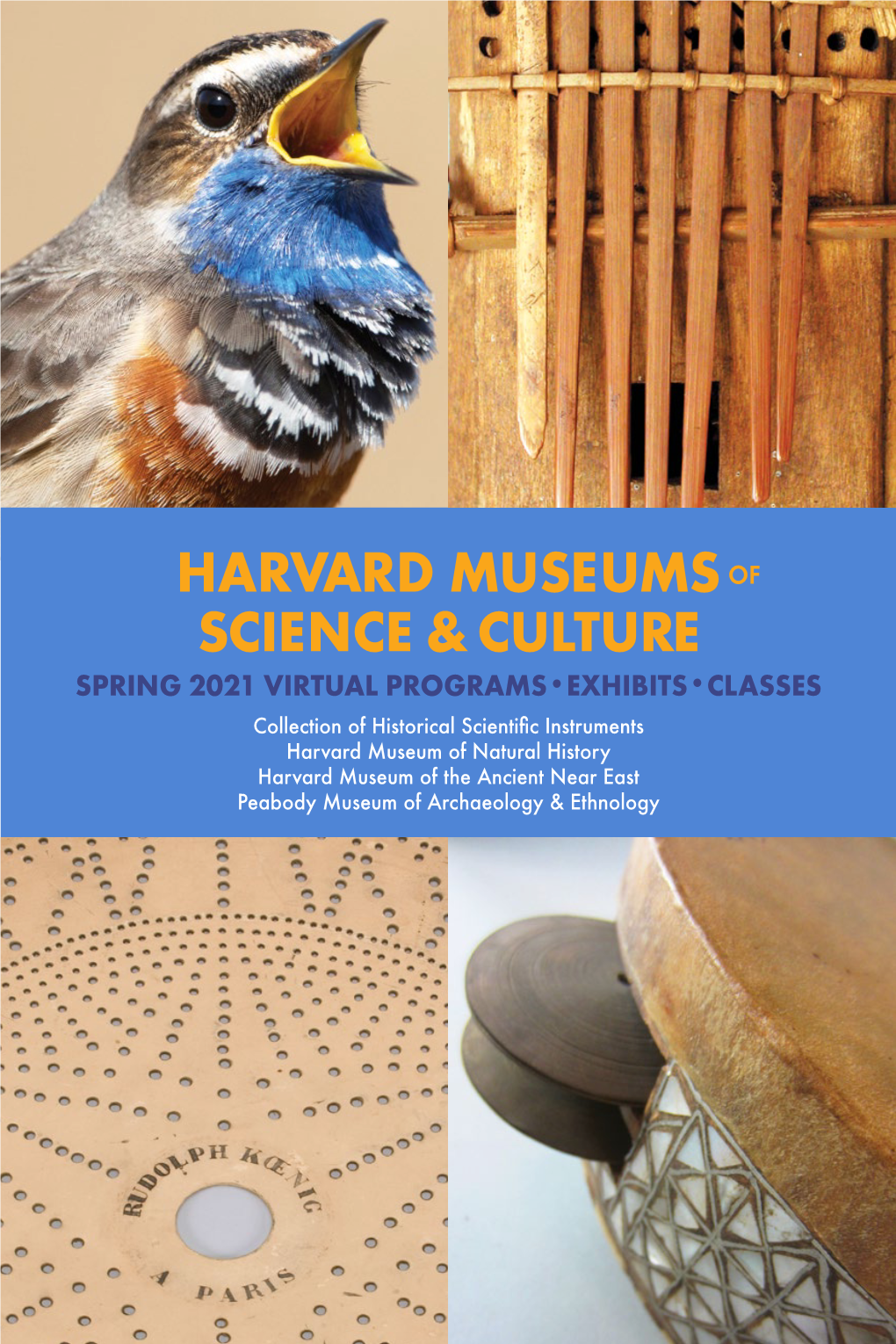 Harvard Museums Science & Culture