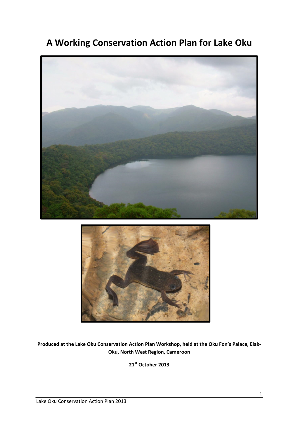 A Working Conservation Action Plan for Lake Oku