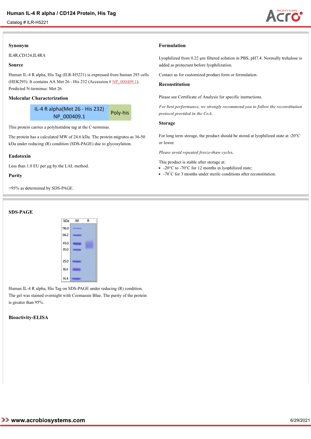 Human IL-4 R Alpha / CD124 Protein, His Tag Catalog # ILR-H5221