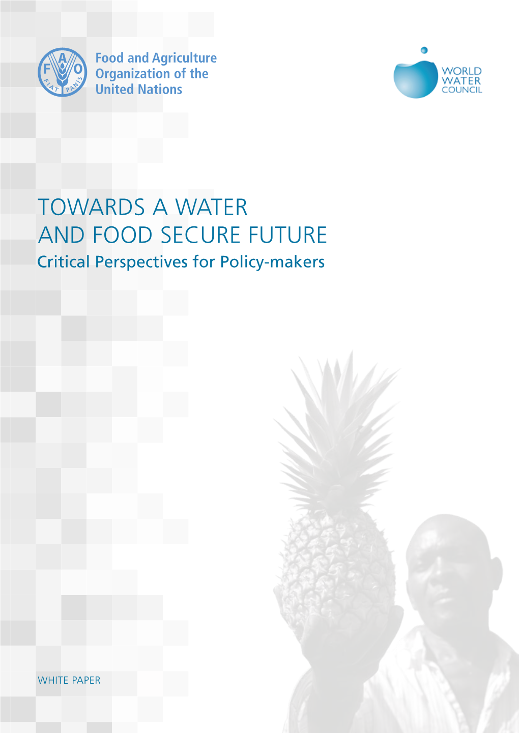 TOWARDS a WATER and FOOD SECURE FUTURE Critical Perspectives for Policy-Makers