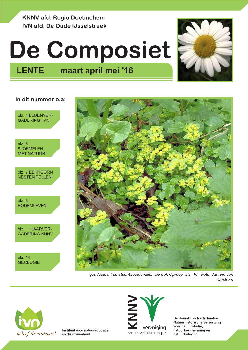 De Composiet LENTE Maart April Mei '16