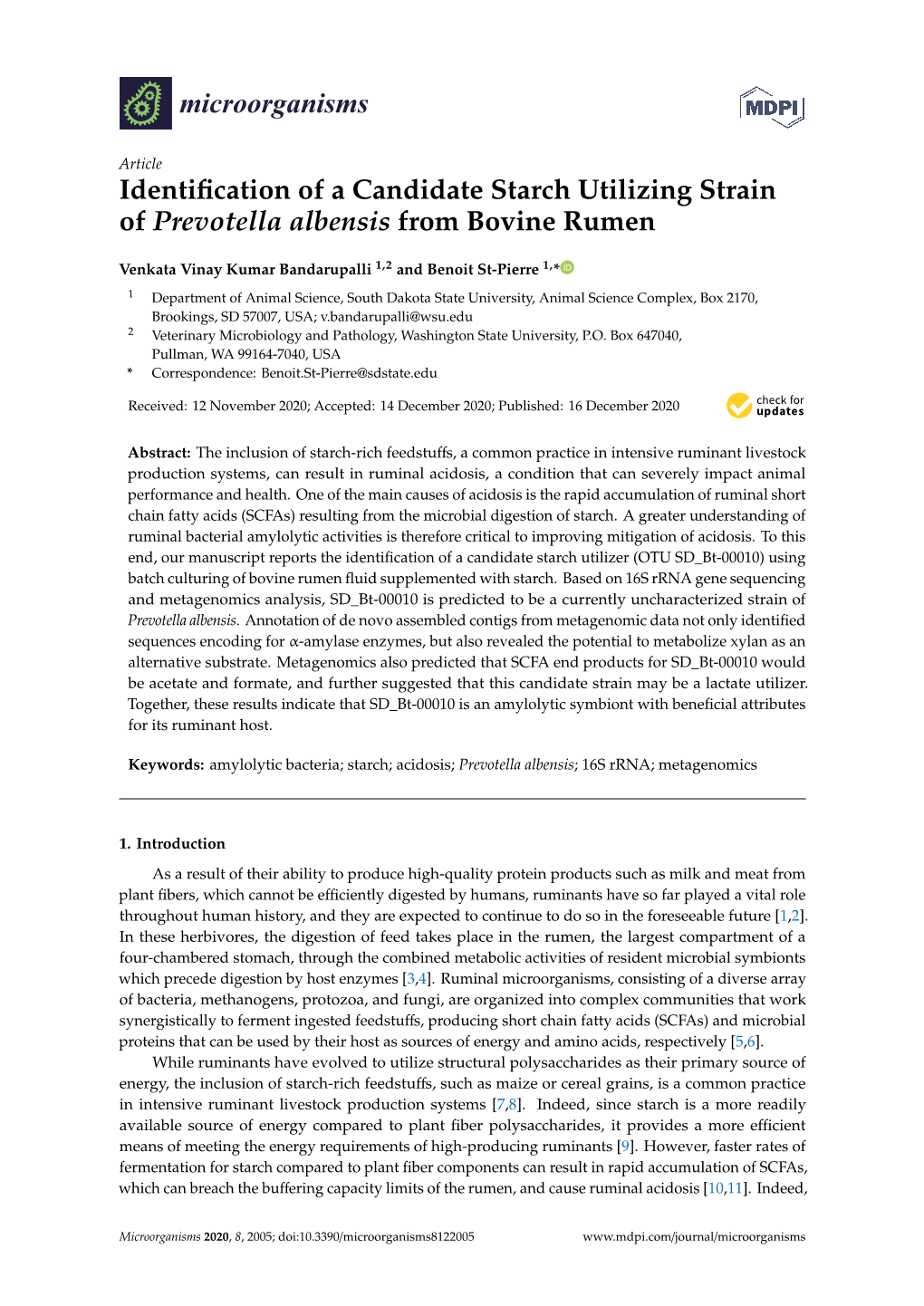 Identification of a Candidate Starch Utilizing Strain of Prevotella Albensis from Bovine Rumen