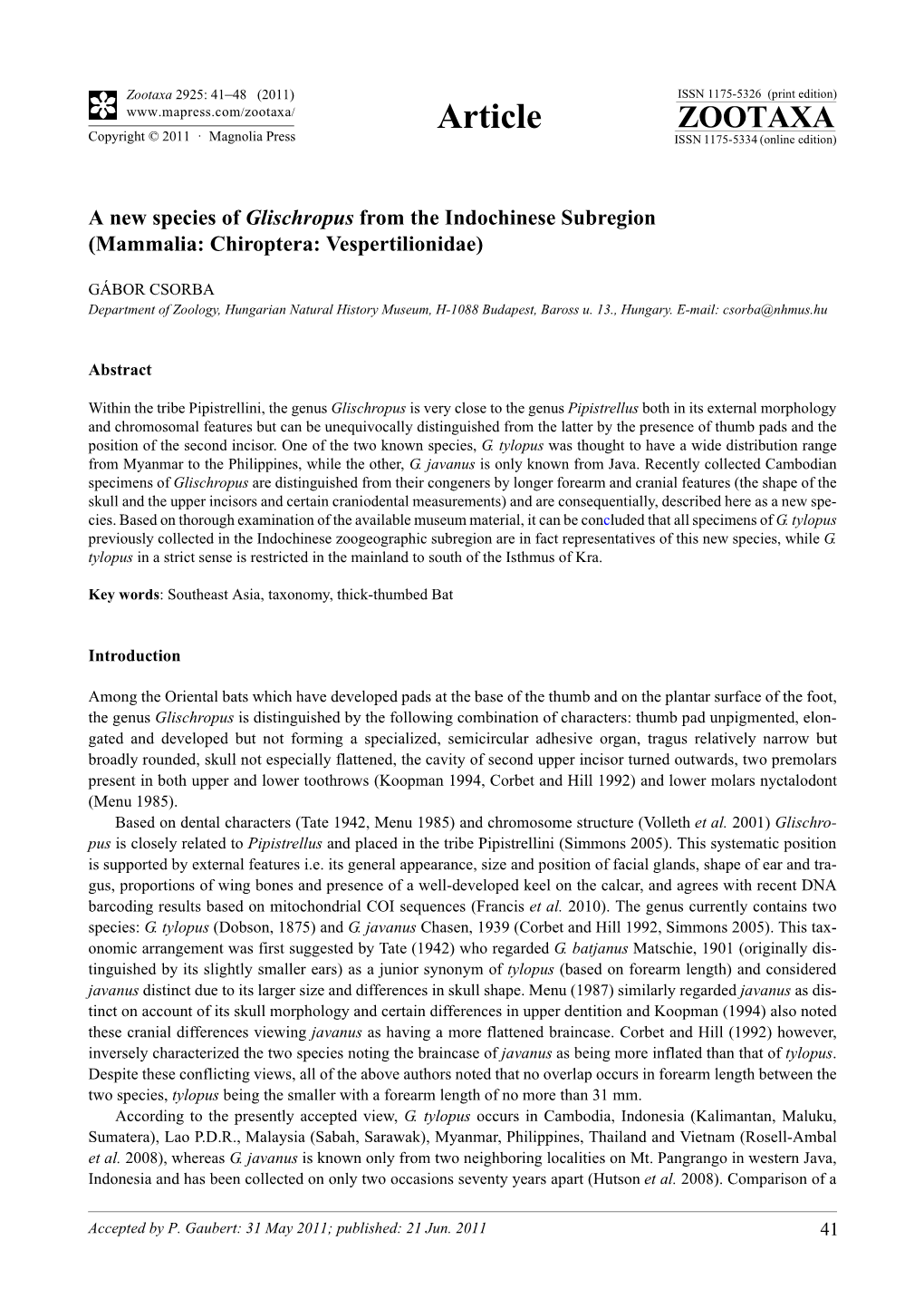 A New Species of Glischropus from the Indochinese Subregion (Mammalia: Chiroptera: Vespertilionidae)