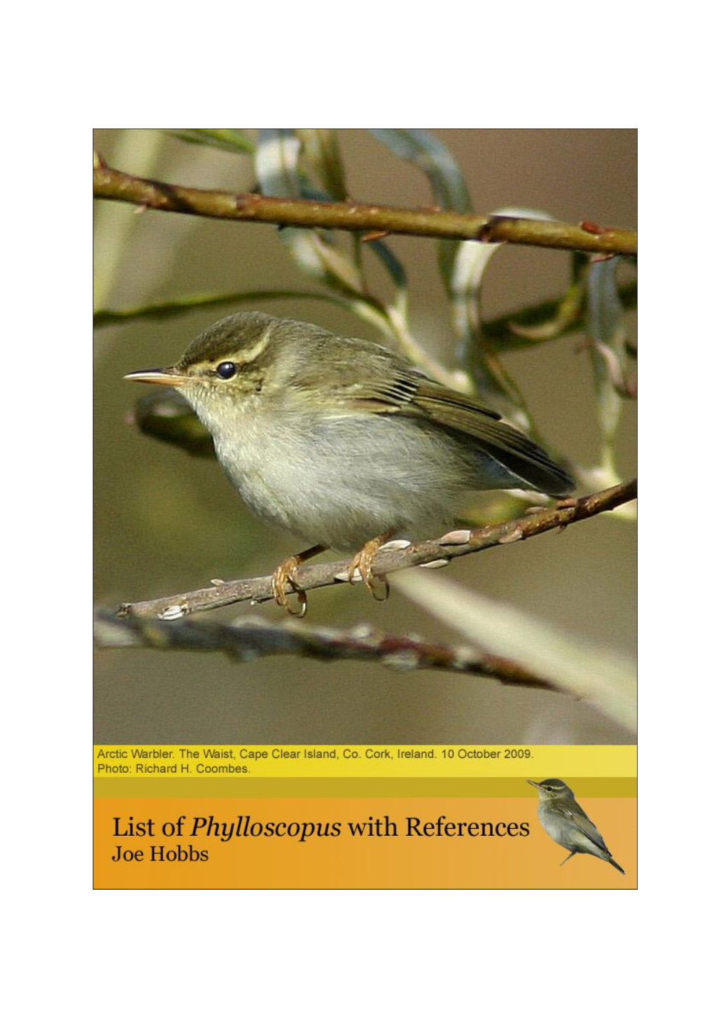 Leaf Warblers Reference List