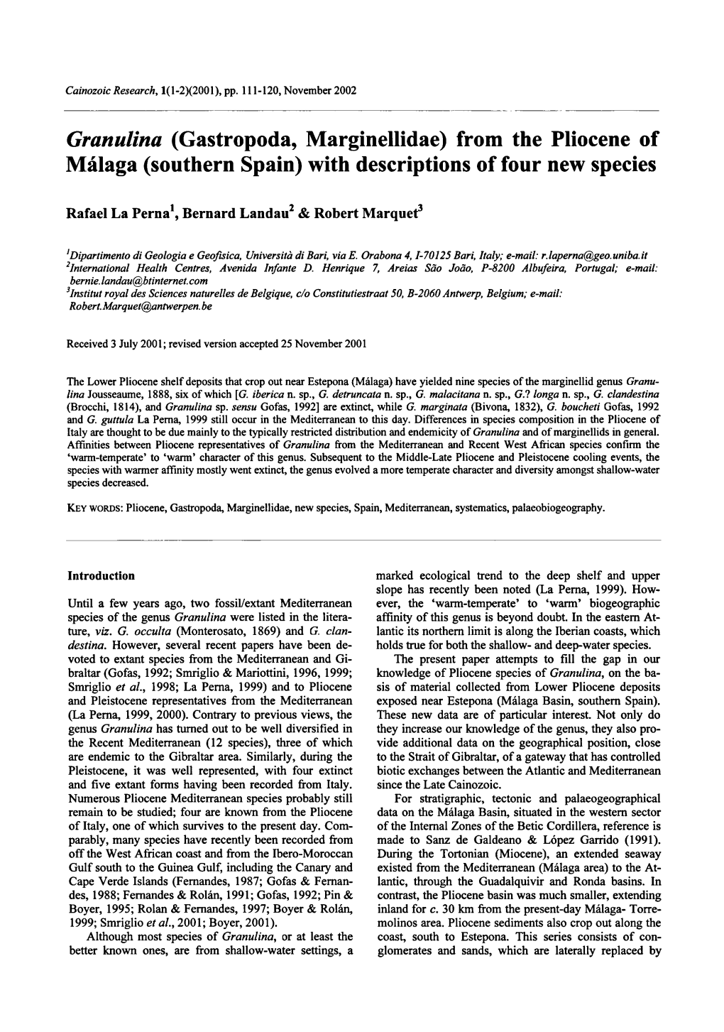 Gastropoda, Marginellidae) from the Pliocene Of