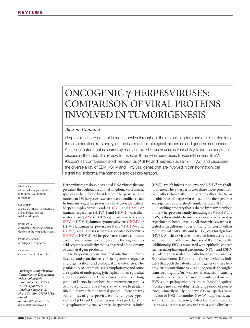 Oncogenic Γ-Herpesviruses: Comparison of Viral Proteins Involved in Tumorigenesis