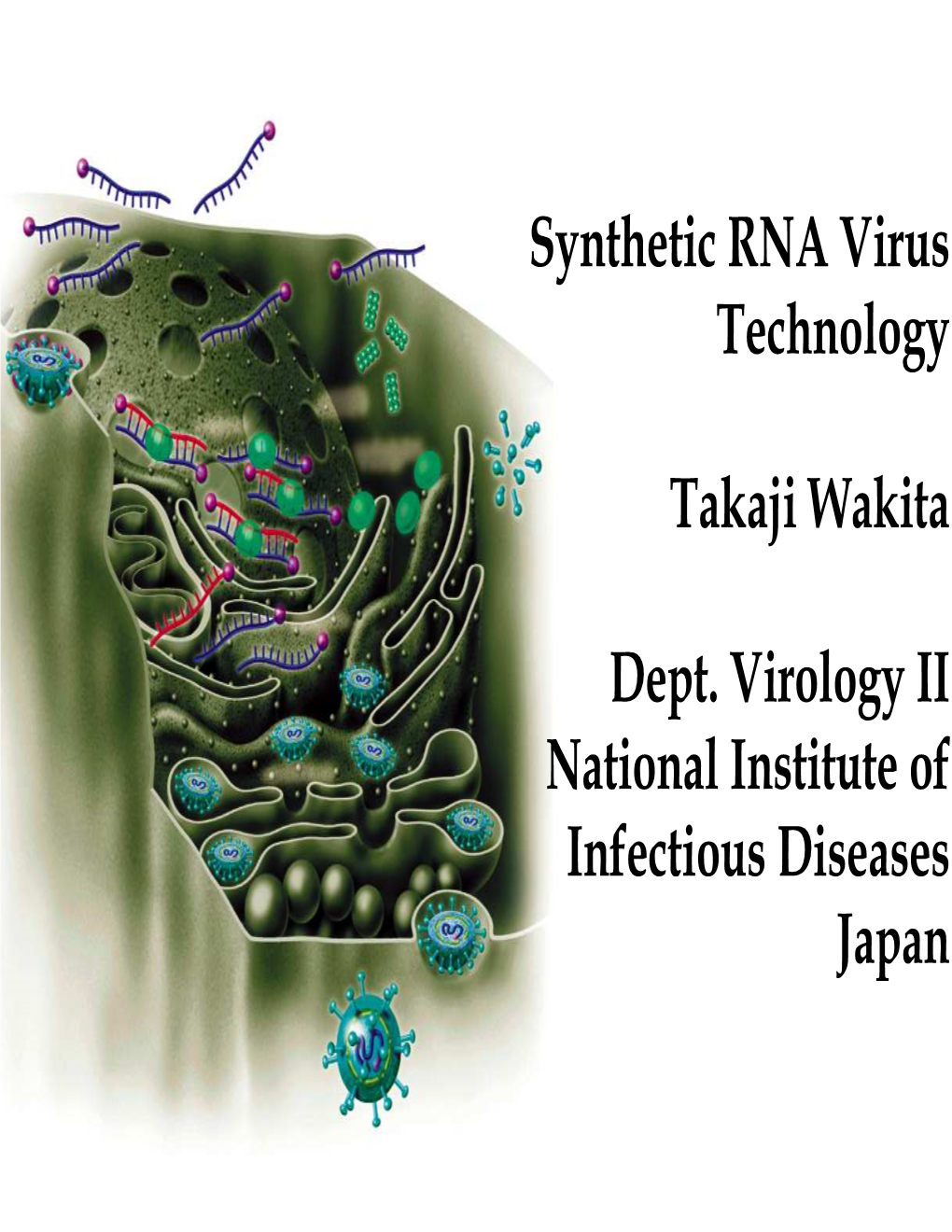 Synthetic RNA Virus Technology Takaji Wakita Dept. Virology II