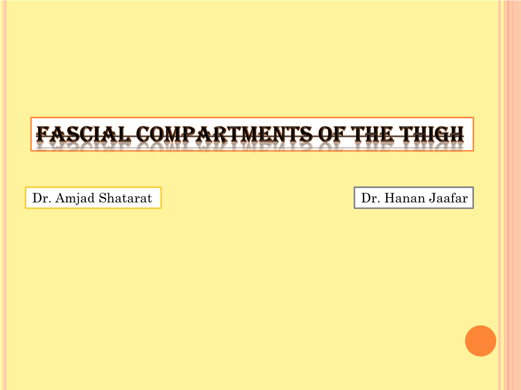 Anterior and Medial Compartments of the Thigh