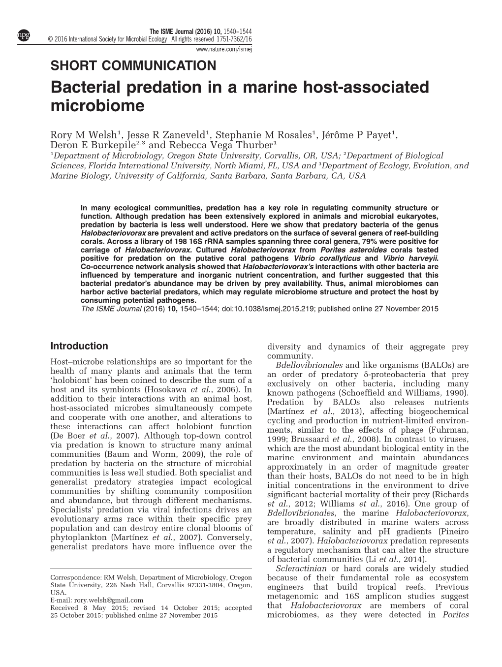 Bacterial Predation in a Marine Host-Associated Microbiome