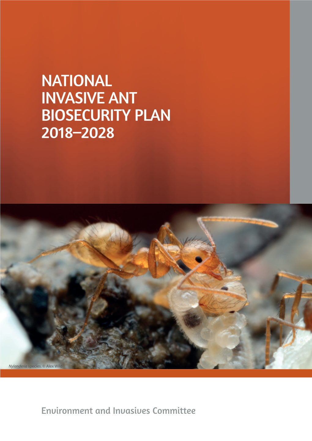 National Invasive Ant Biosecurity Plan 2018-2028