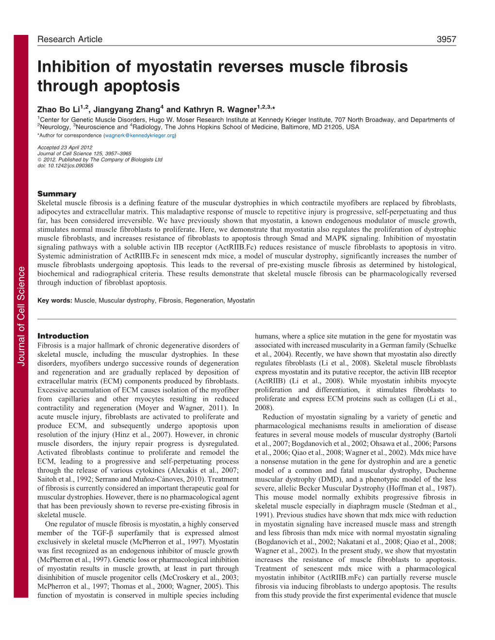 Inhibition of Myostatin Reverses Muscle Fibrosis Through Apoptosis