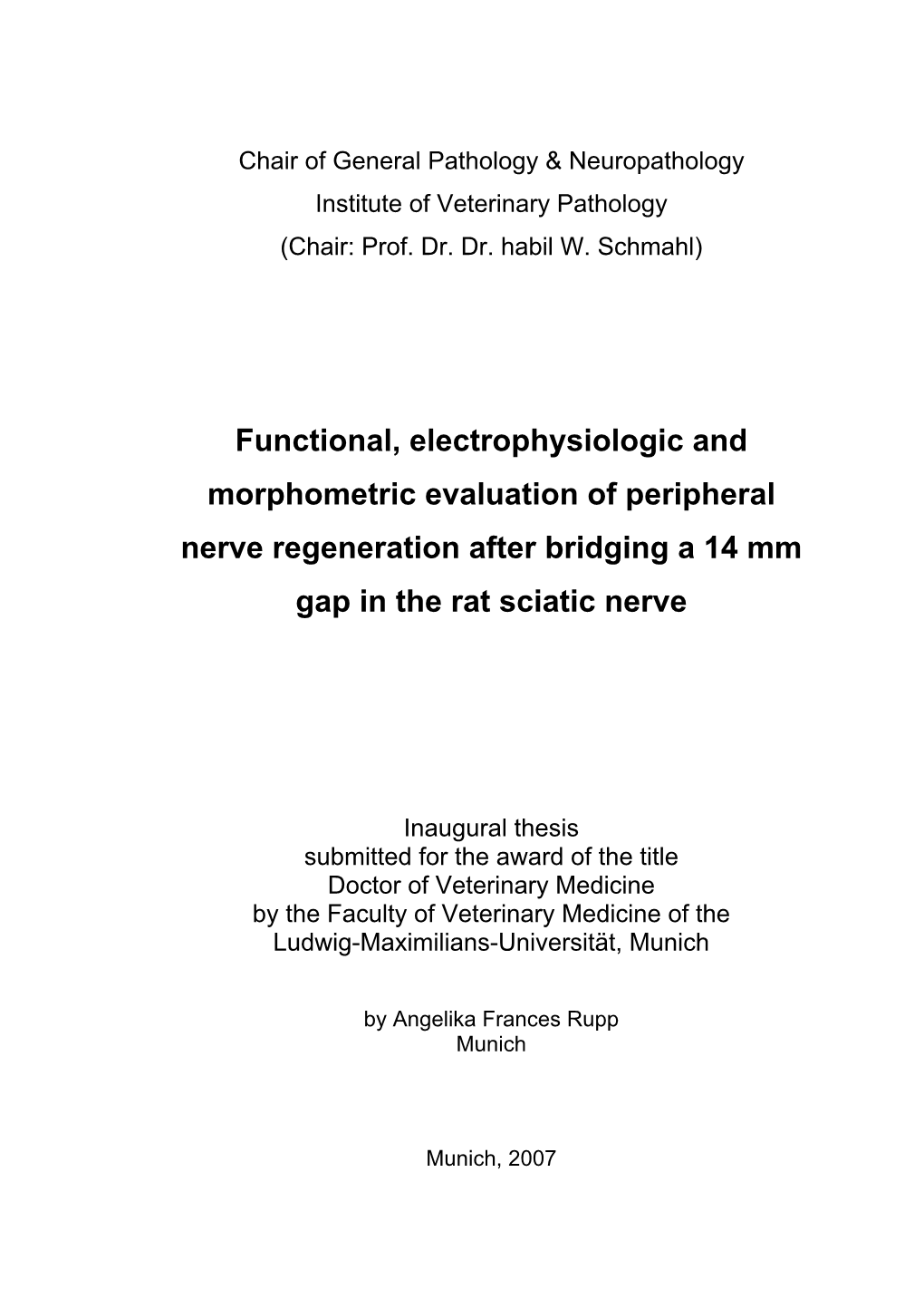 Functional, Electrophysiologic and Morphometric Evaluation of Peripheral Nerve Regeneration After Bridging a 14 Mm Gap in the Rat Sciatic Nerve