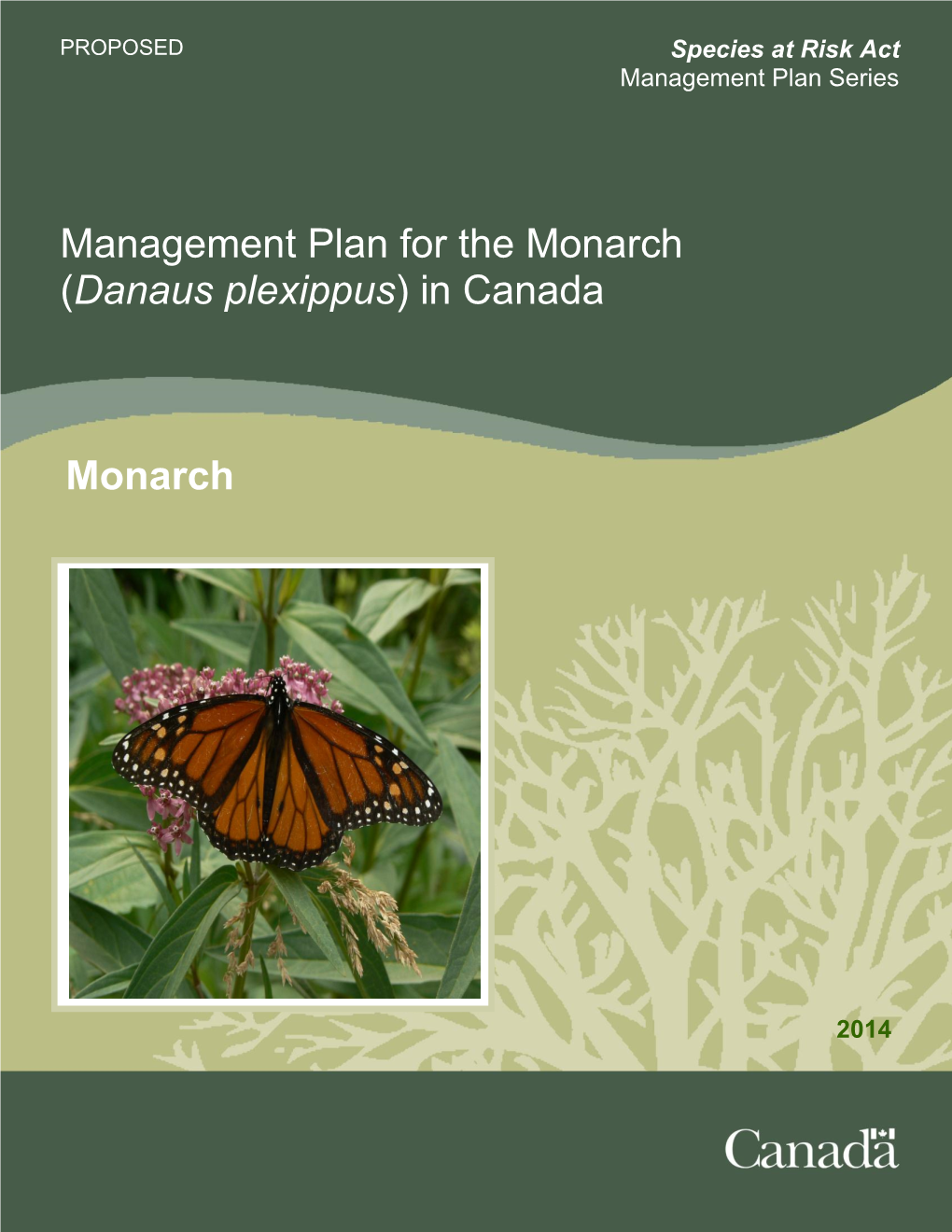Management Plan for the Monarch (Danaus Plexippus) in Canada