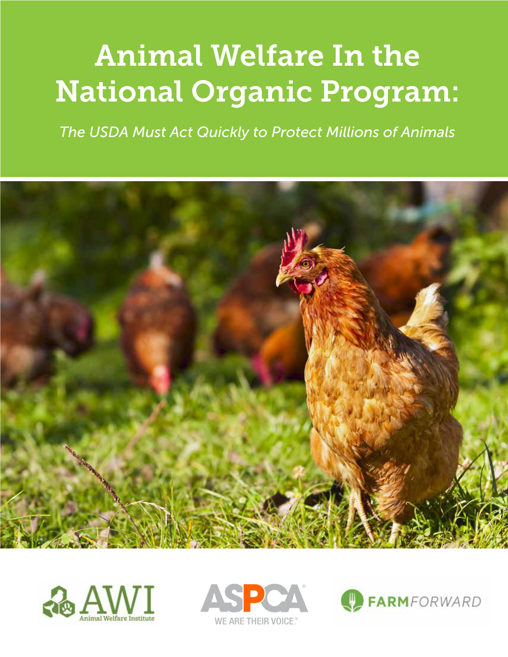 Animal Welfare in the National Organic Program