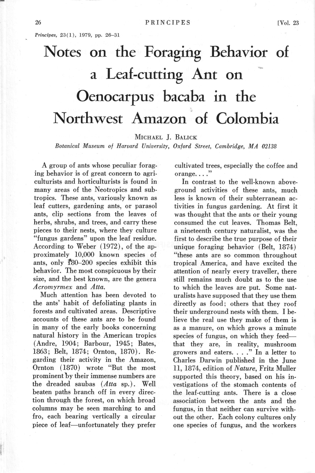 Notes on the Foraging Behavior of a Leal-Cutting Ant on Oenocarpus Bacaba in the Northwest Arrrazon of Colombia