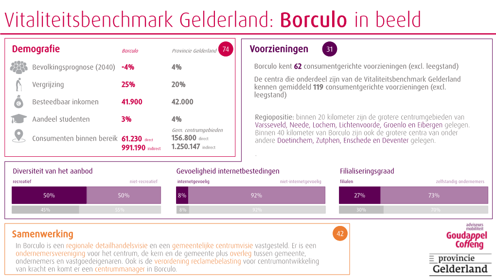 Vitaliteitsbenchmark Gelderland: Borculo in Beeld