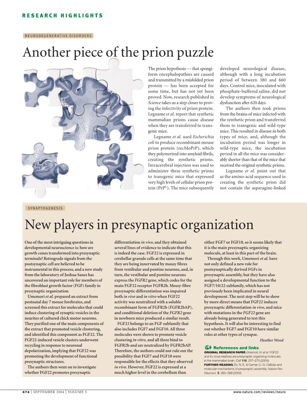 New Players in Presynaptic Organization Another Piece of The