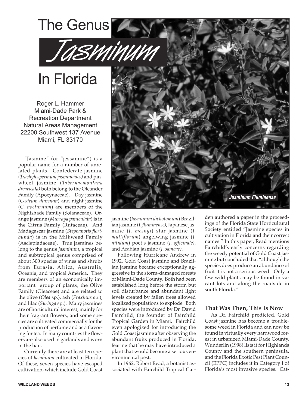 The Genus Jasminum in Florida