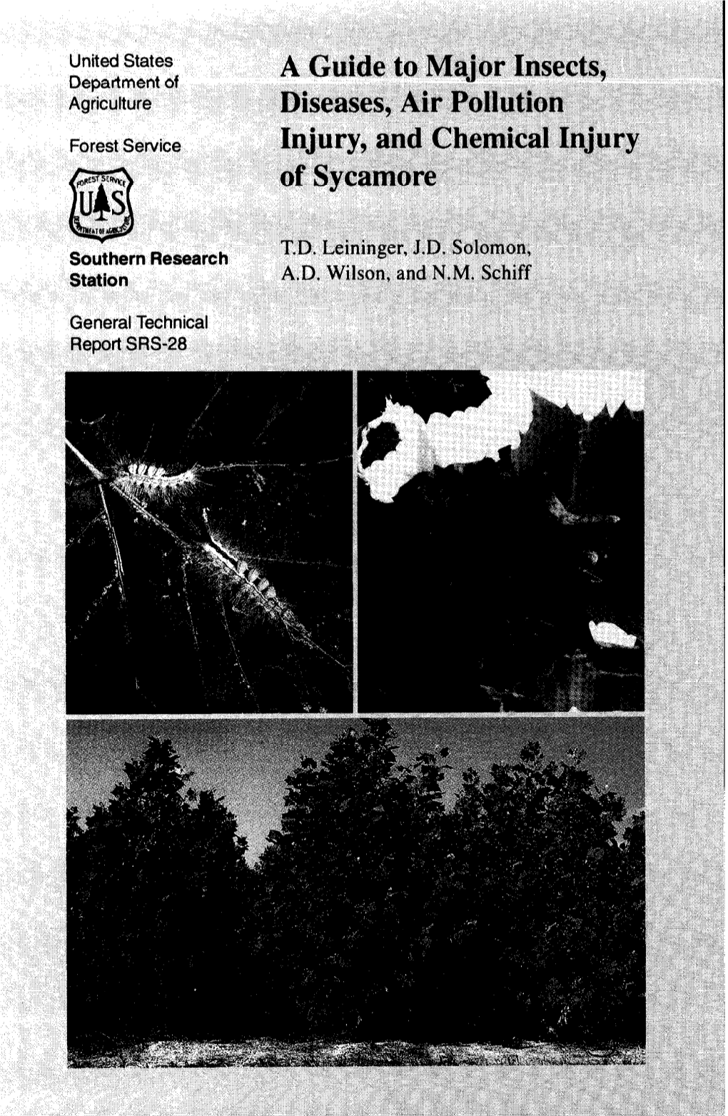 A Guide to Major Insects, Diseases, Air Pollution Injury, and Chemical Injury of Sycamore