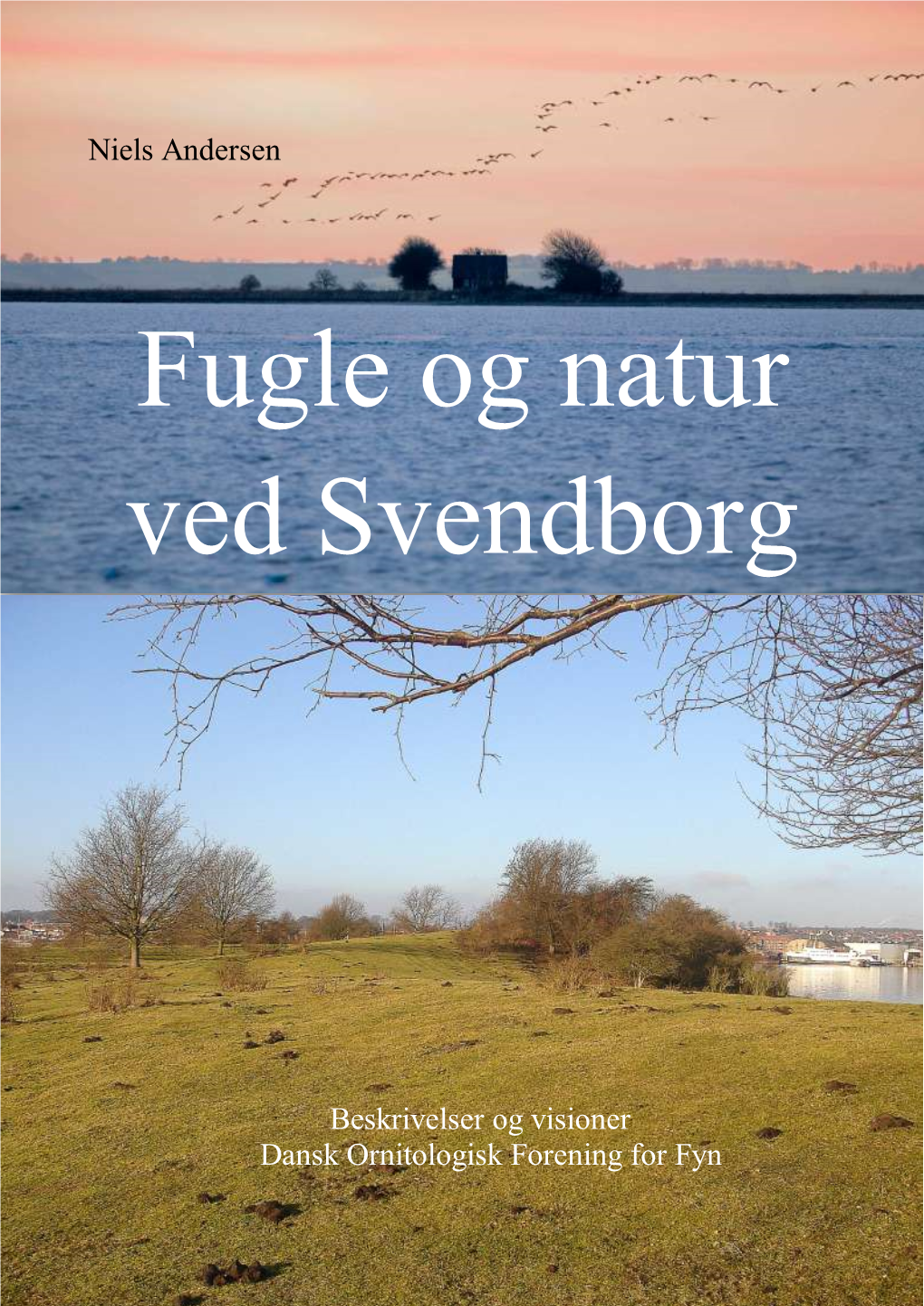 Fugle Og Natur Ved Svendborg Beskrivelser Og Visioner