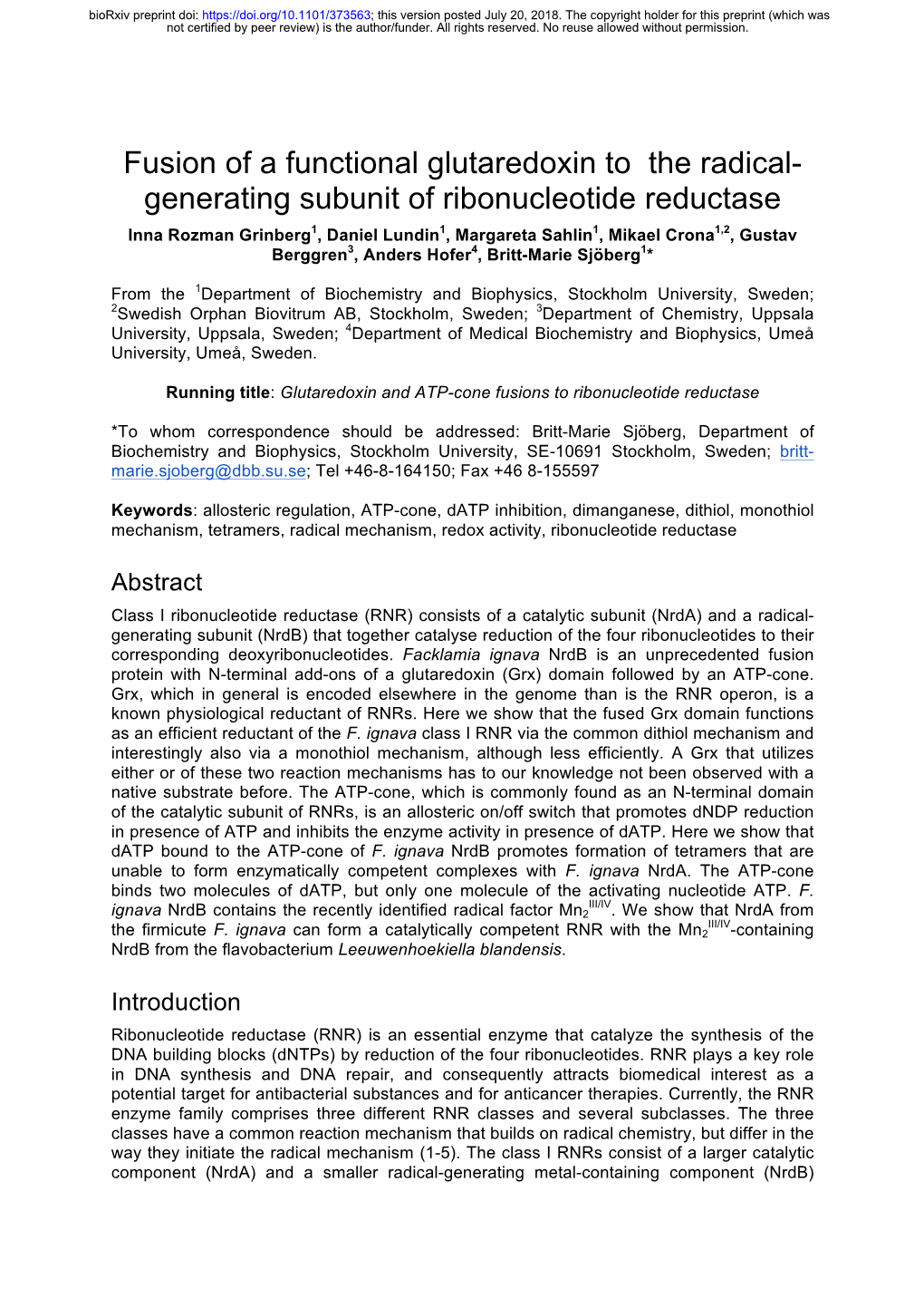 Generating Subunit of Ribonucleotide Reductase