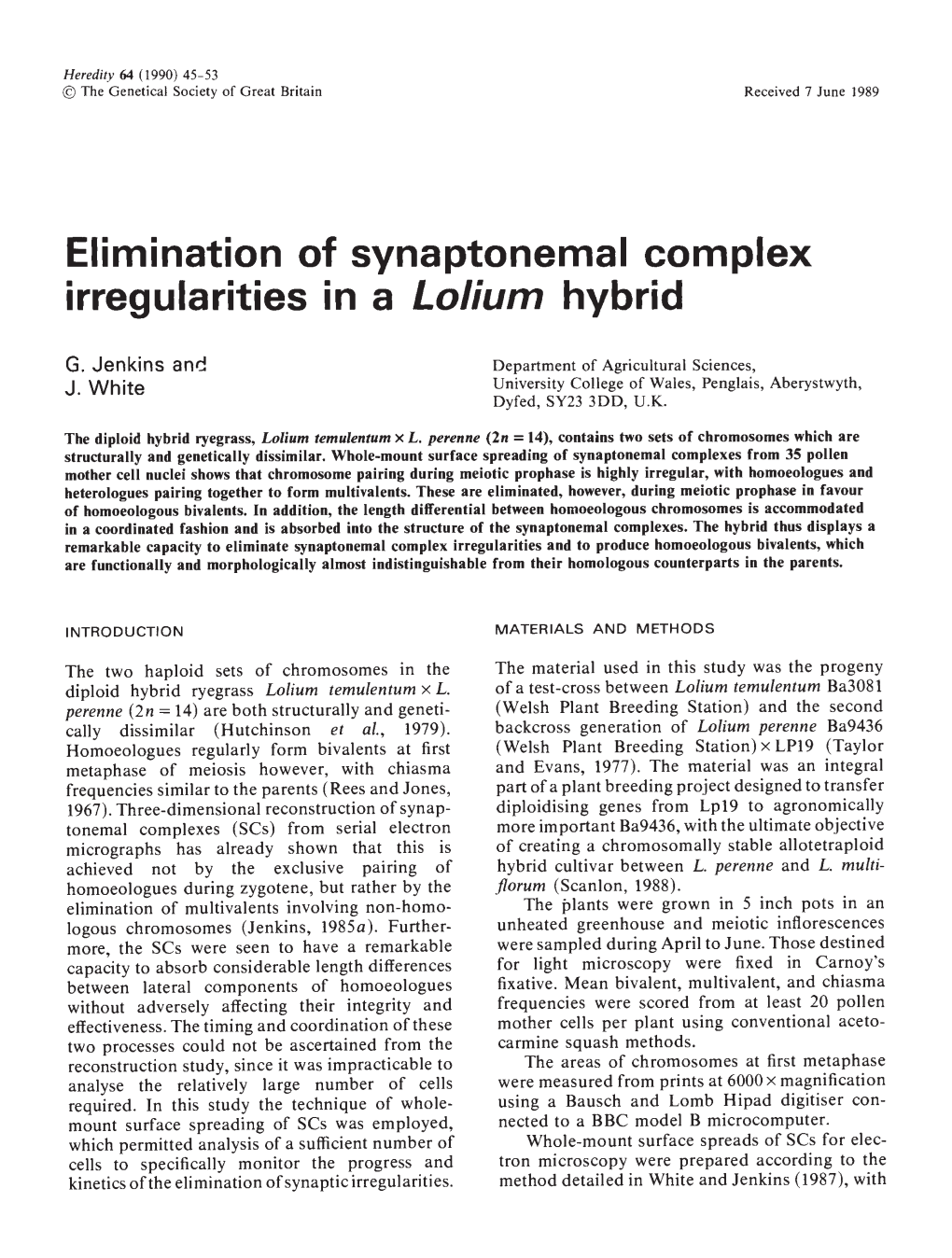 Elimination of Synaptonemal Complex Irregularities in a Lolium Hybrid