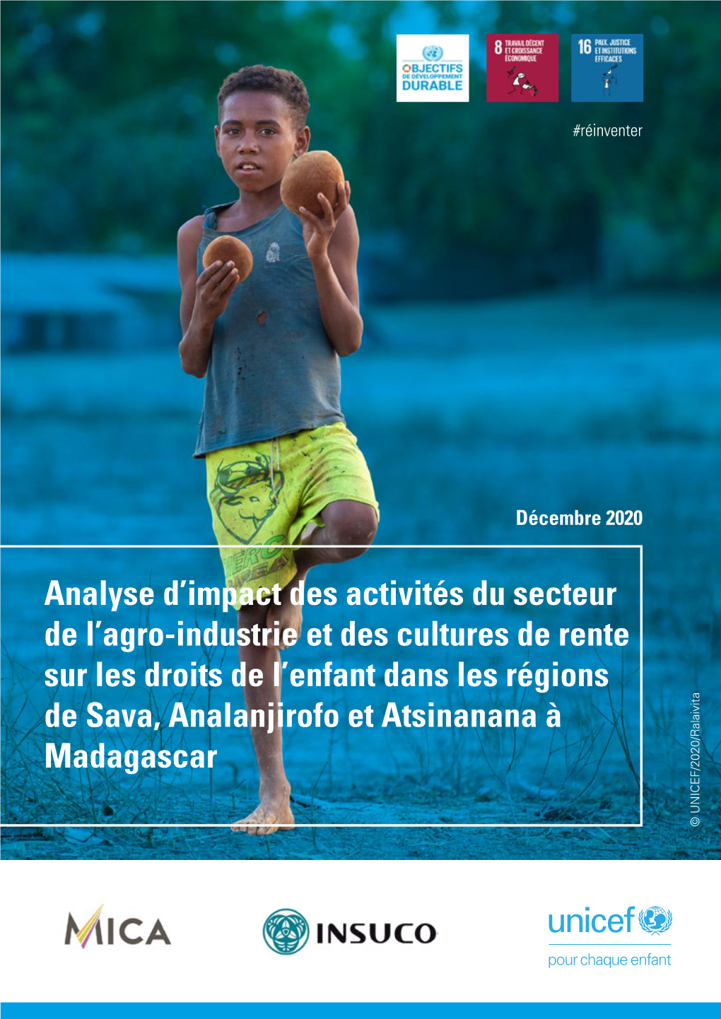 Analyse D'impact Des Activités Du Secteur De L'agro-Industrie Et Des
