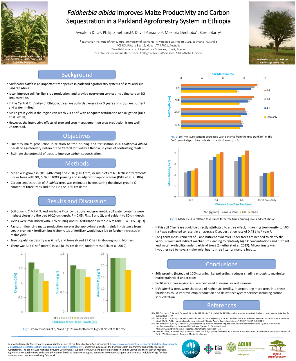 Faidherbia Albida Improves Maize Productivity and Carbon Sequestration in a Parkland Agroforestry System in Ethiopia