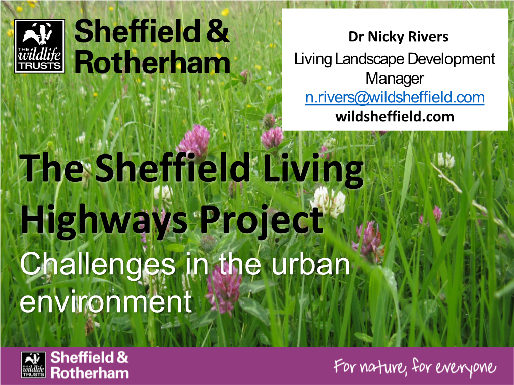The Sheffield Living Highways Project Challenges in the Urban Environment Background Amey- 25 Year ‘Streets Ahead’ Contract with Sheffield CC