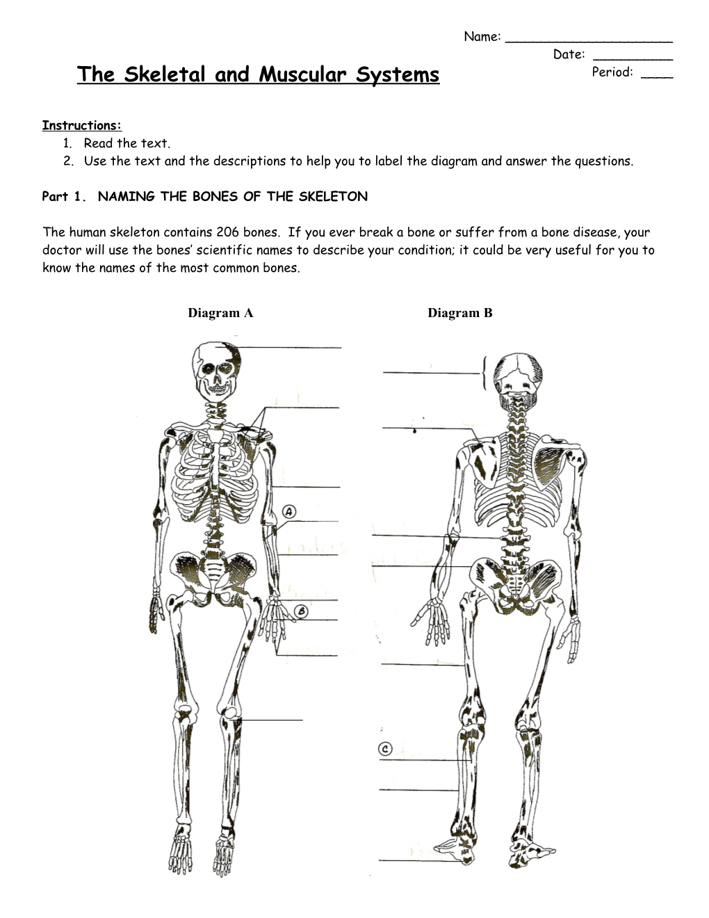 Part 1. NAMING the BONES of the SKELETON