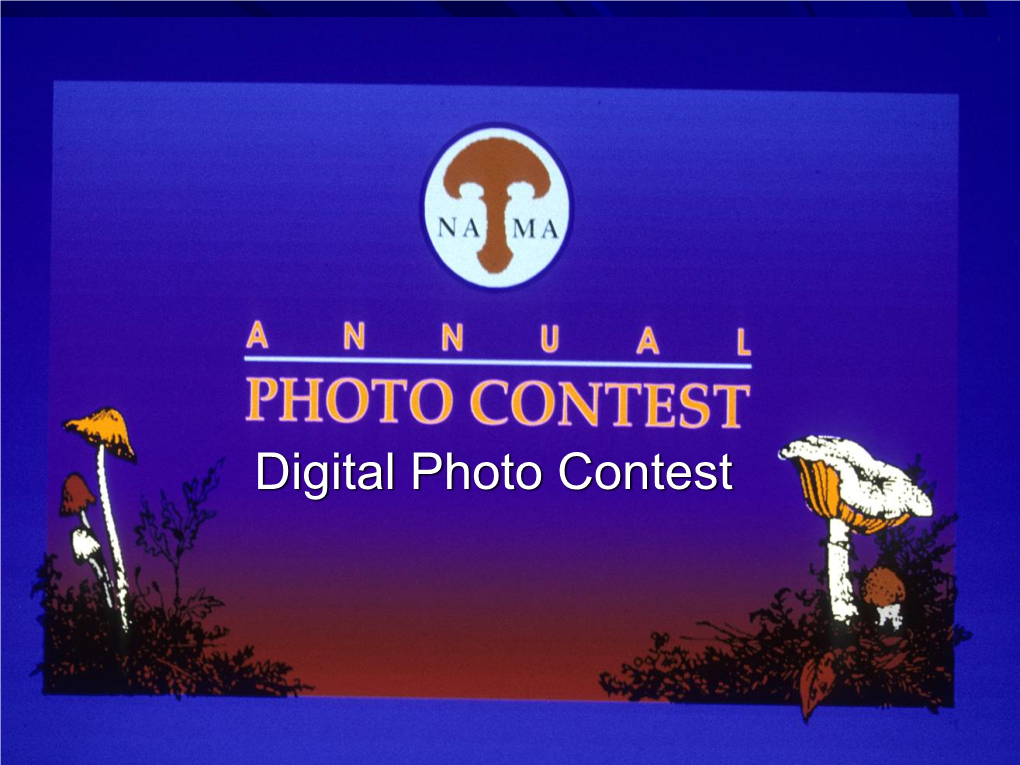 Digital Photo Contest