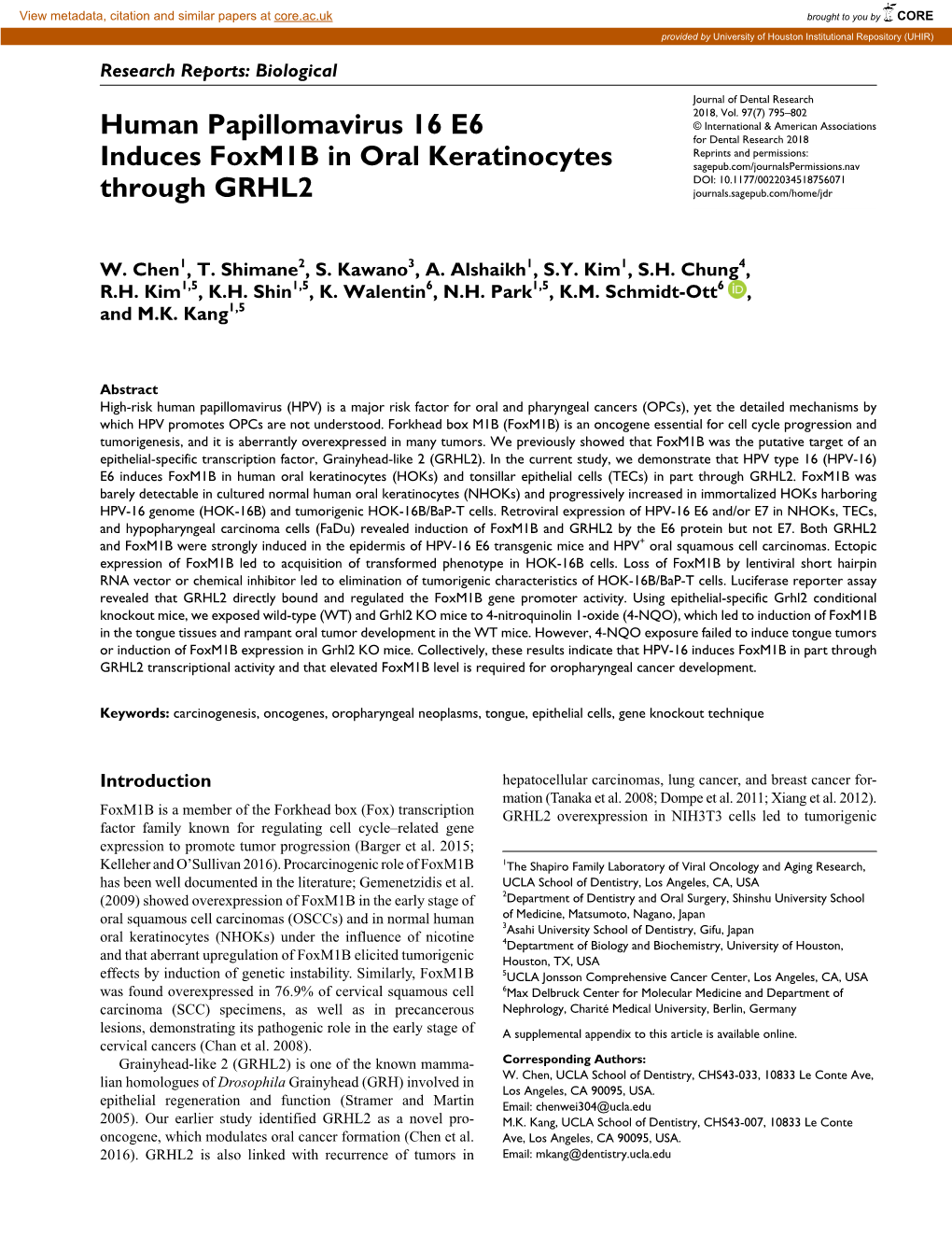 Human Papillomavirus 16 E6 Induces Foxm1b in Oral Keratinocytes