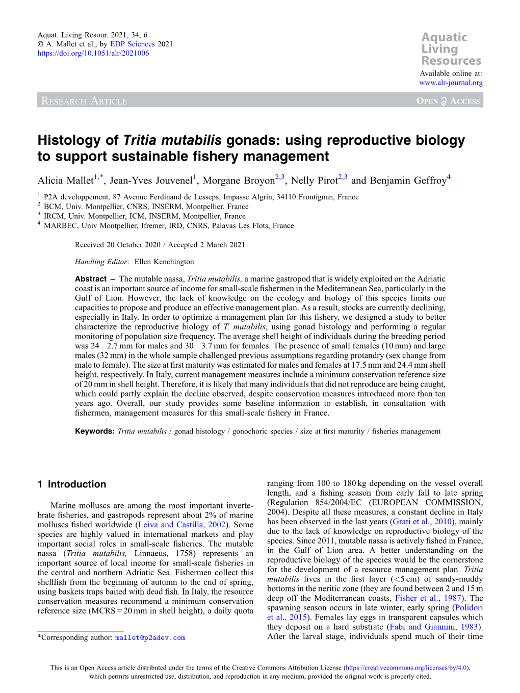 Histology of Tritia Mutabilis Gonads: Using Reproductive Biology to Support Sustainable ﬁshery Management