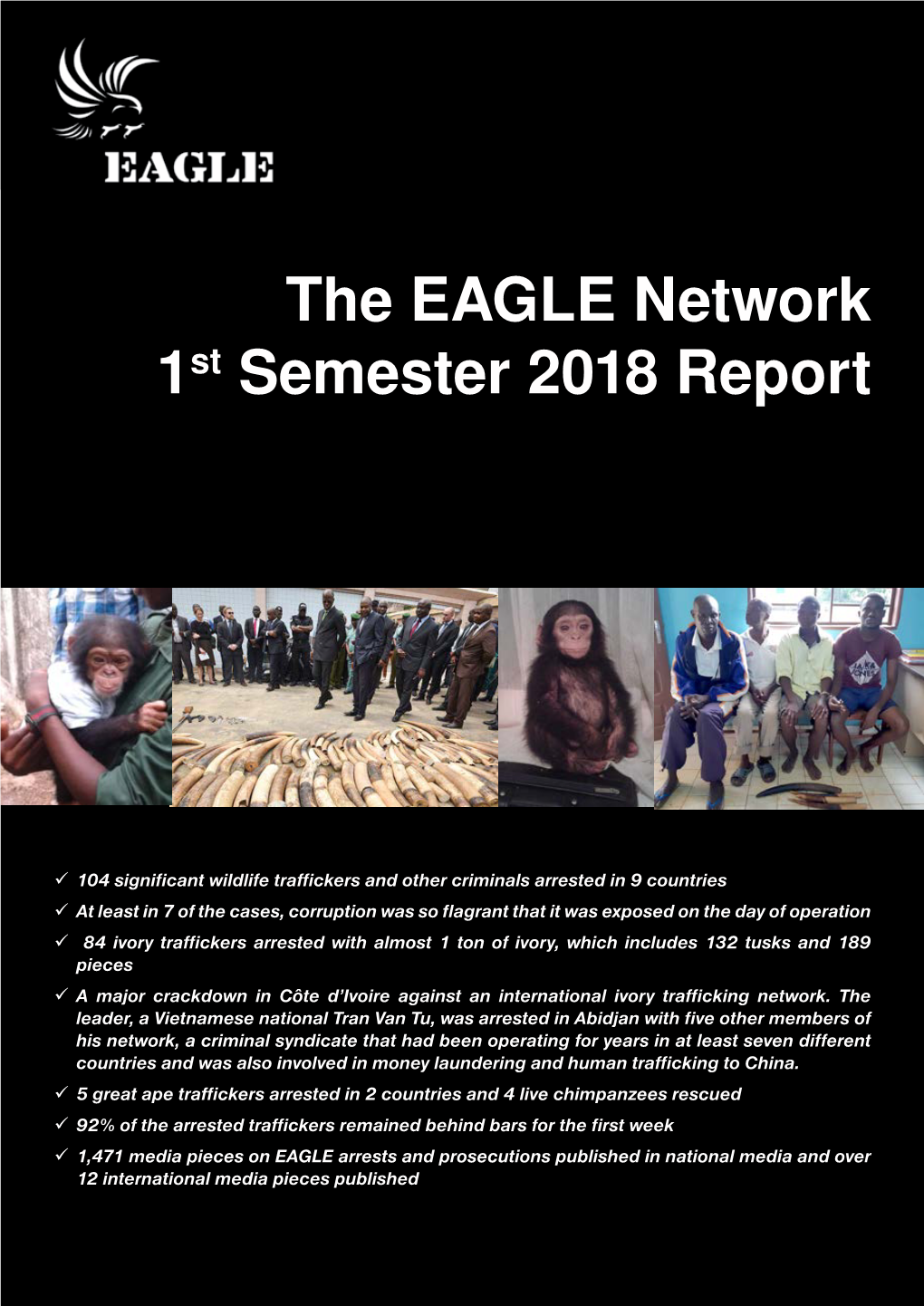 The EAGLE Network 1St Semester 2018 Report