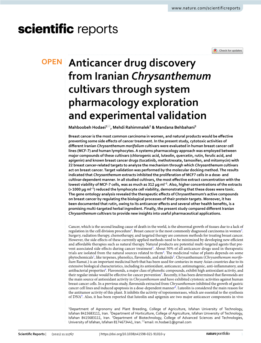 Anticancer Drug Discovery from Iranian Chrysanthemum Cultivars Through