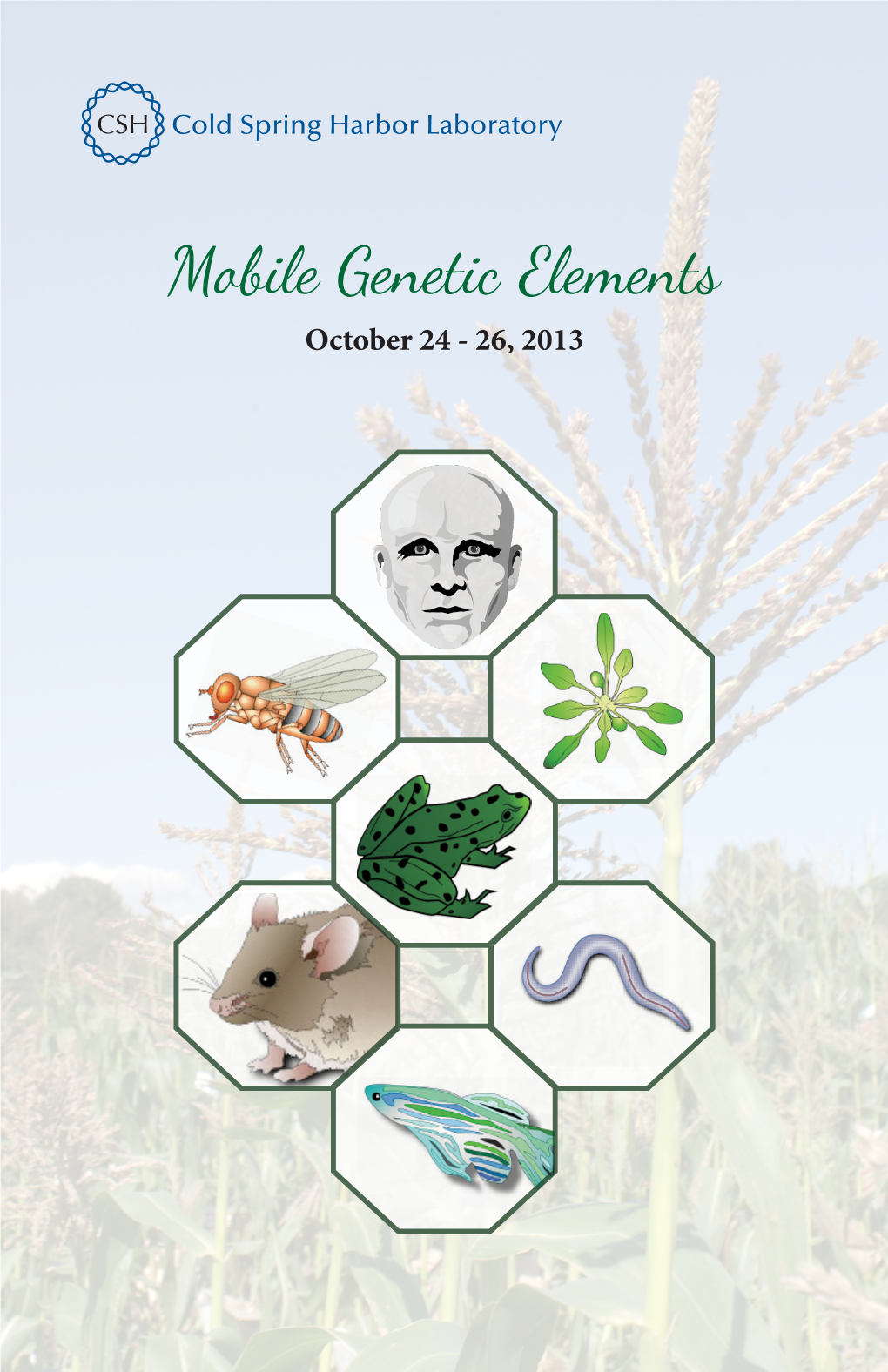 Mobile Genetic Elements