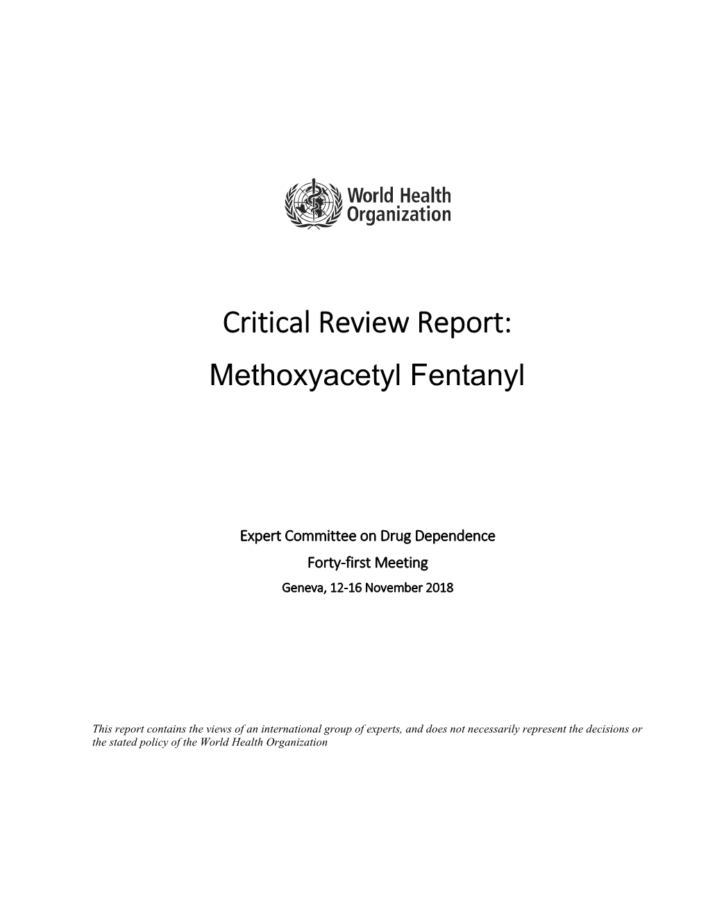 Critical Review Report