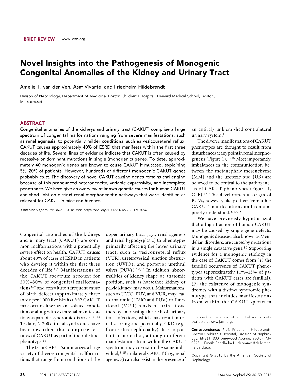 Novel Insights Into the Pathogenesis of Monogenic Congenital Anomalies of the Kidney and Urinary Tract