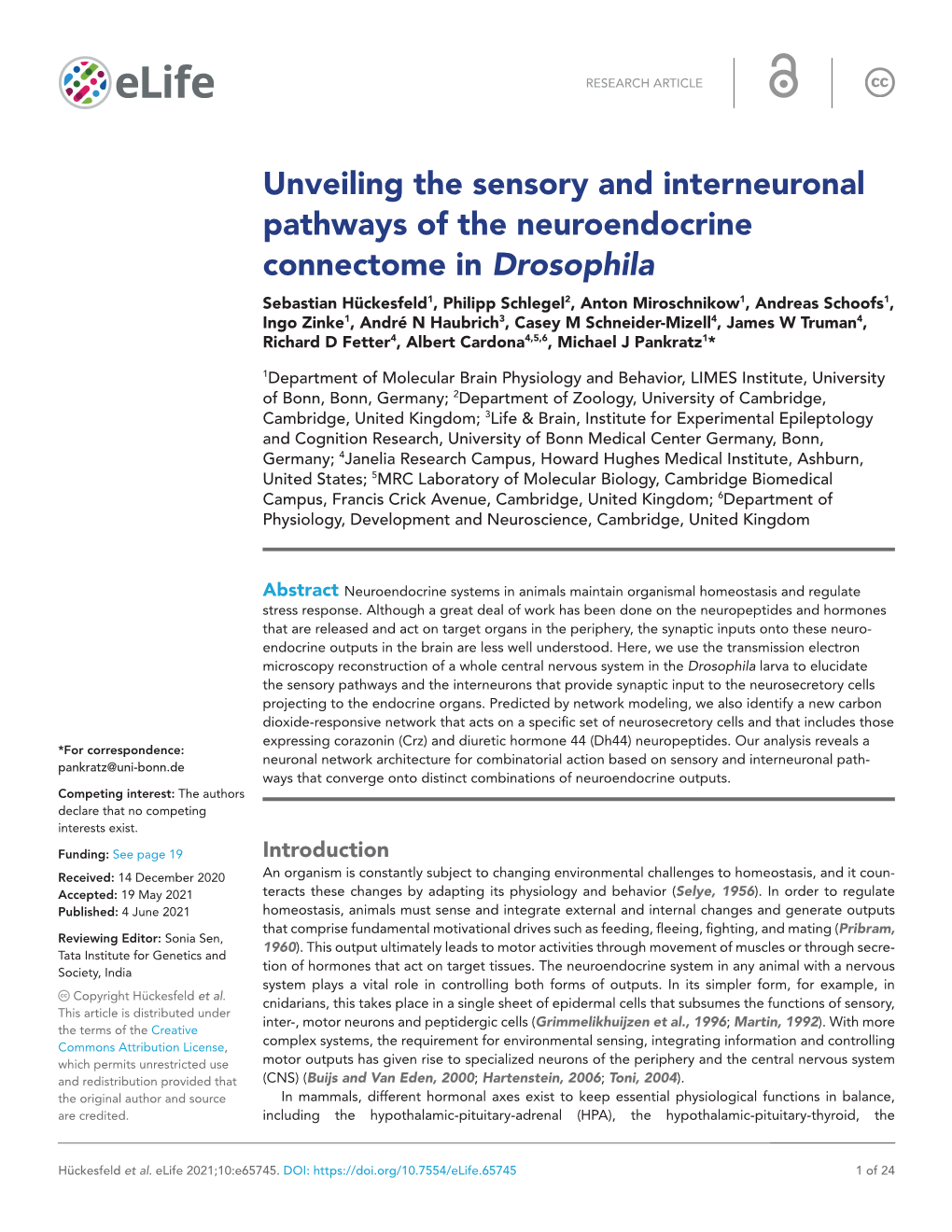 Unveiling the Sensory and Interneuronal Pathways of The