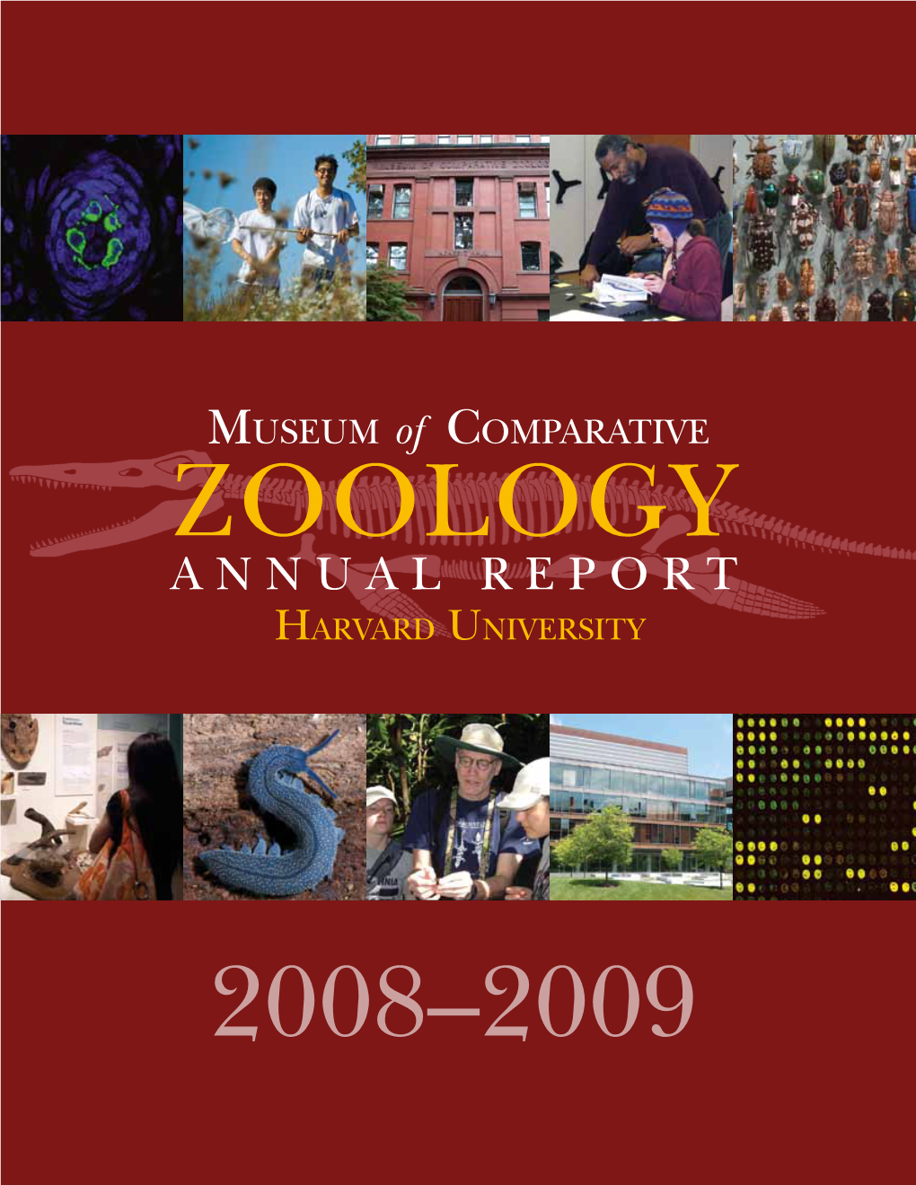 Harvard MCZ Annual Report 2008-2009