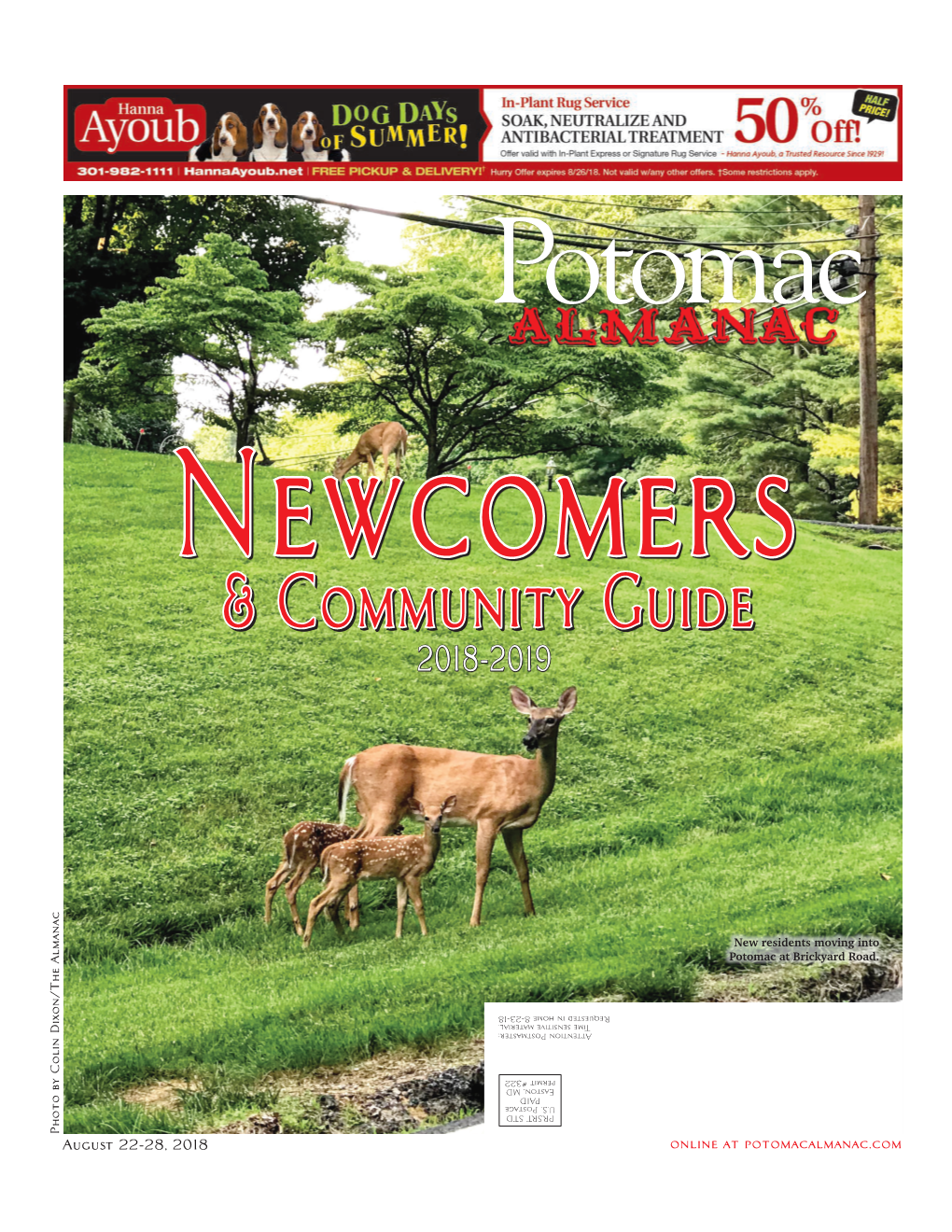 & Community Guide