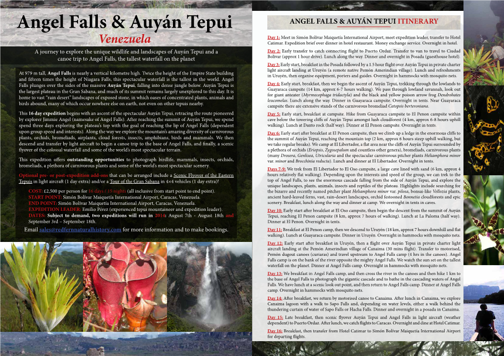 Angel Falls & Auyán Tepui