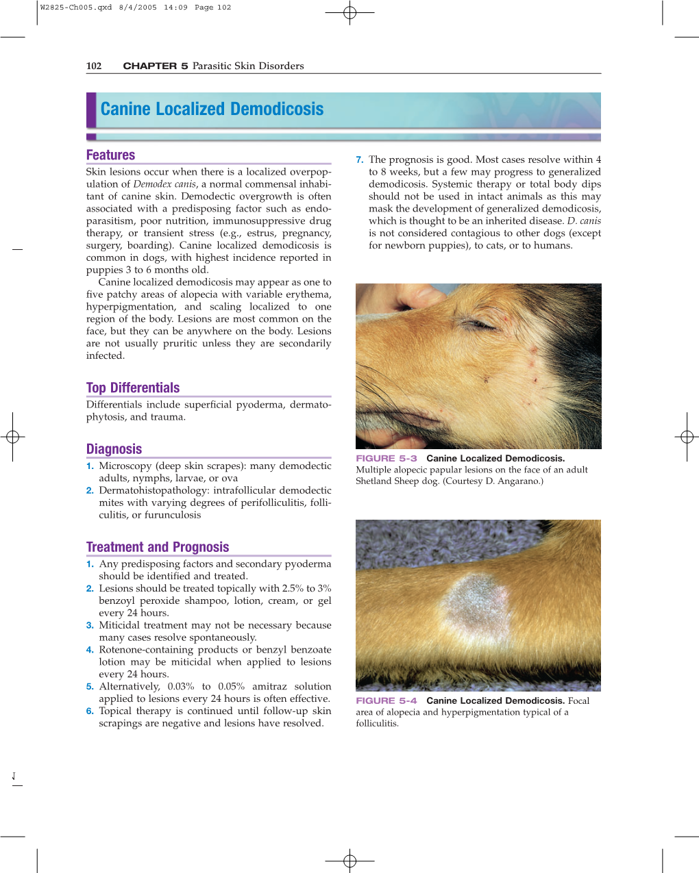 Canine Localized Demodicosis