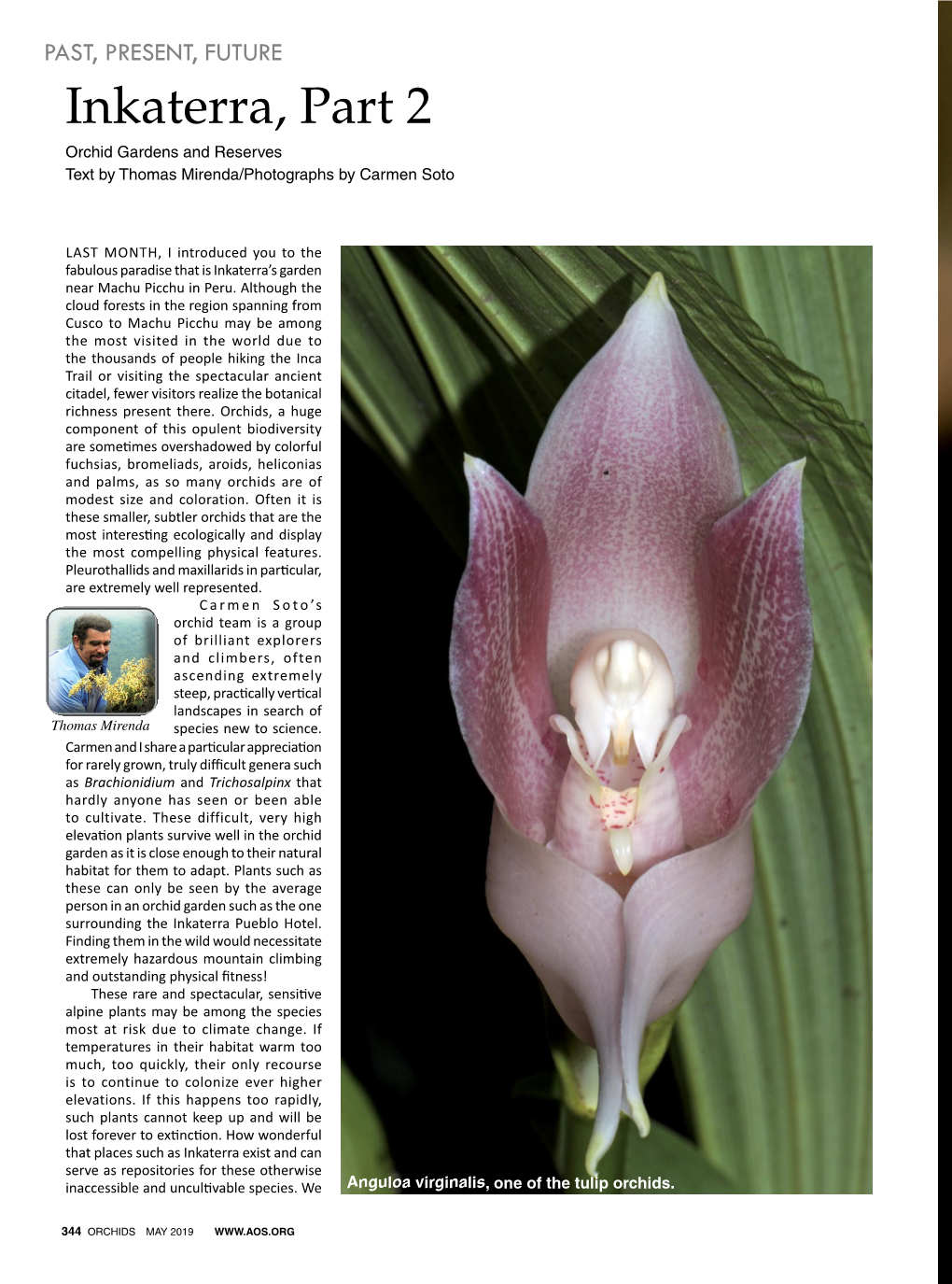 Inkaterra, Part 2 Orchid Gardens and Reserves Text by Thomas Mirenda/Photographs by Carmen Soto