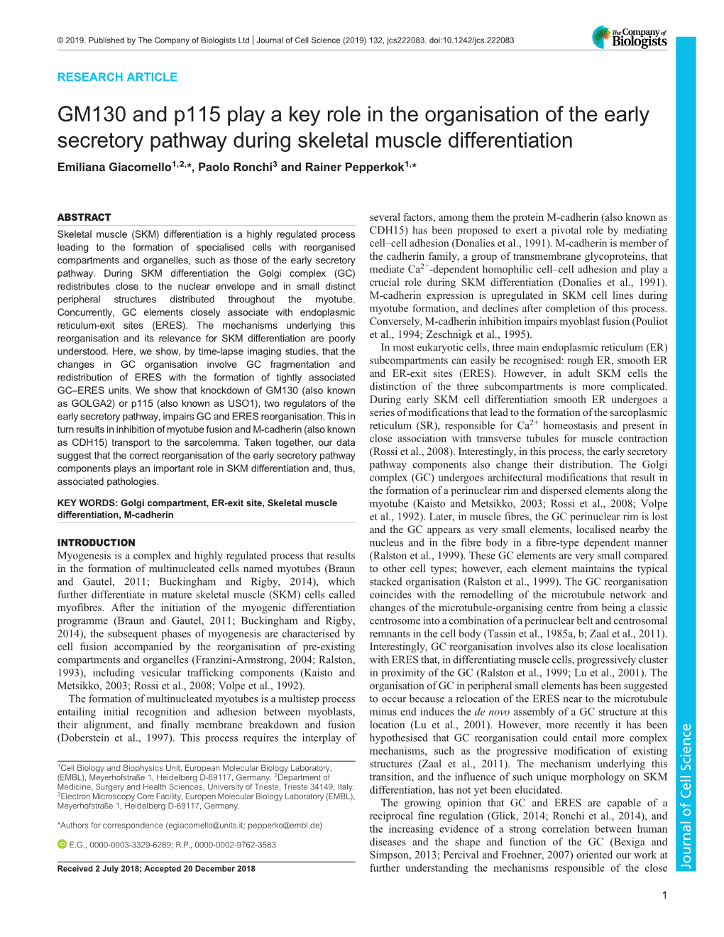 GM130 and P115 Play a Key Role in the Organisation of the Early