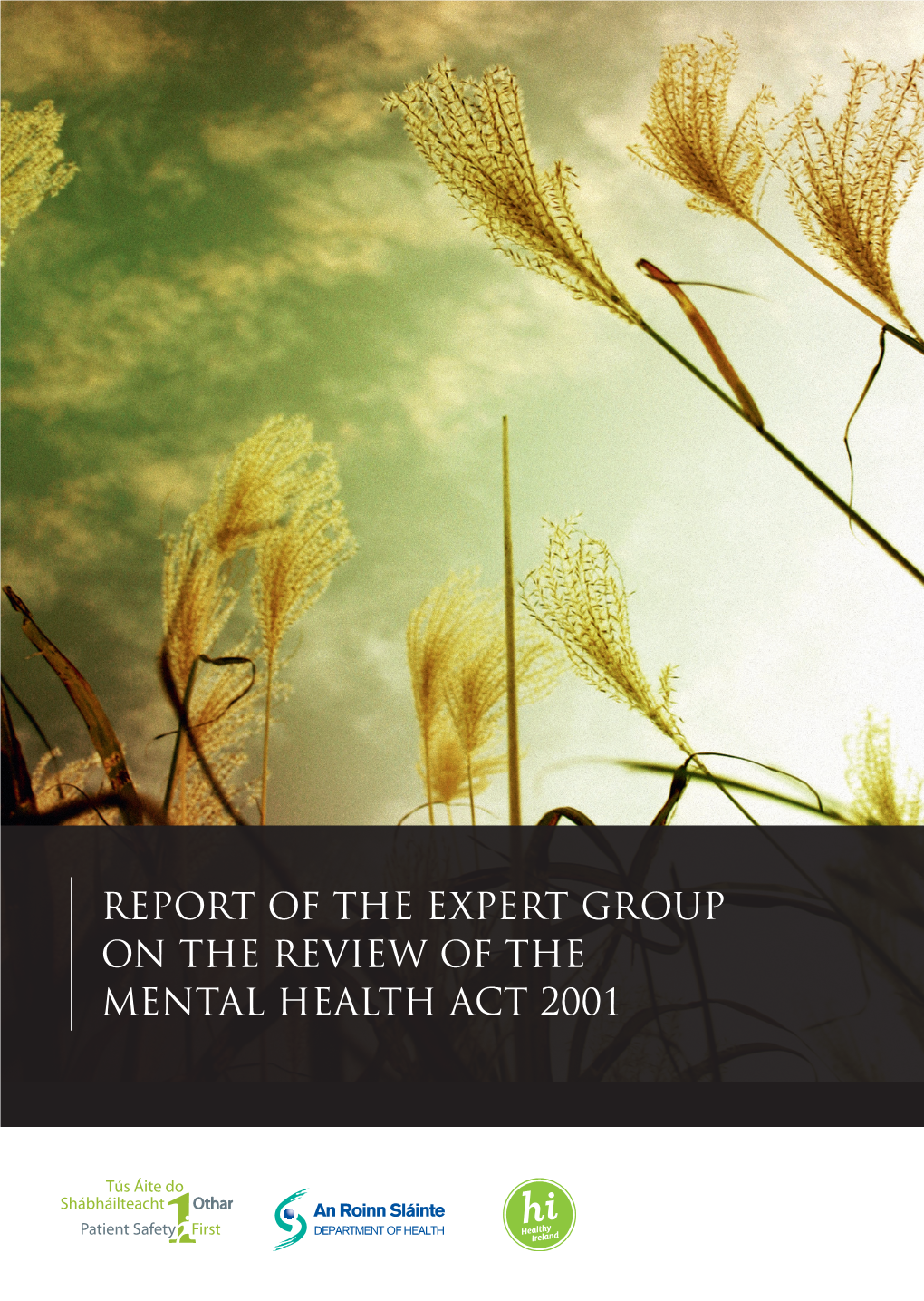 Report of the Expert Group on the Review of the Mental Health Act 2001