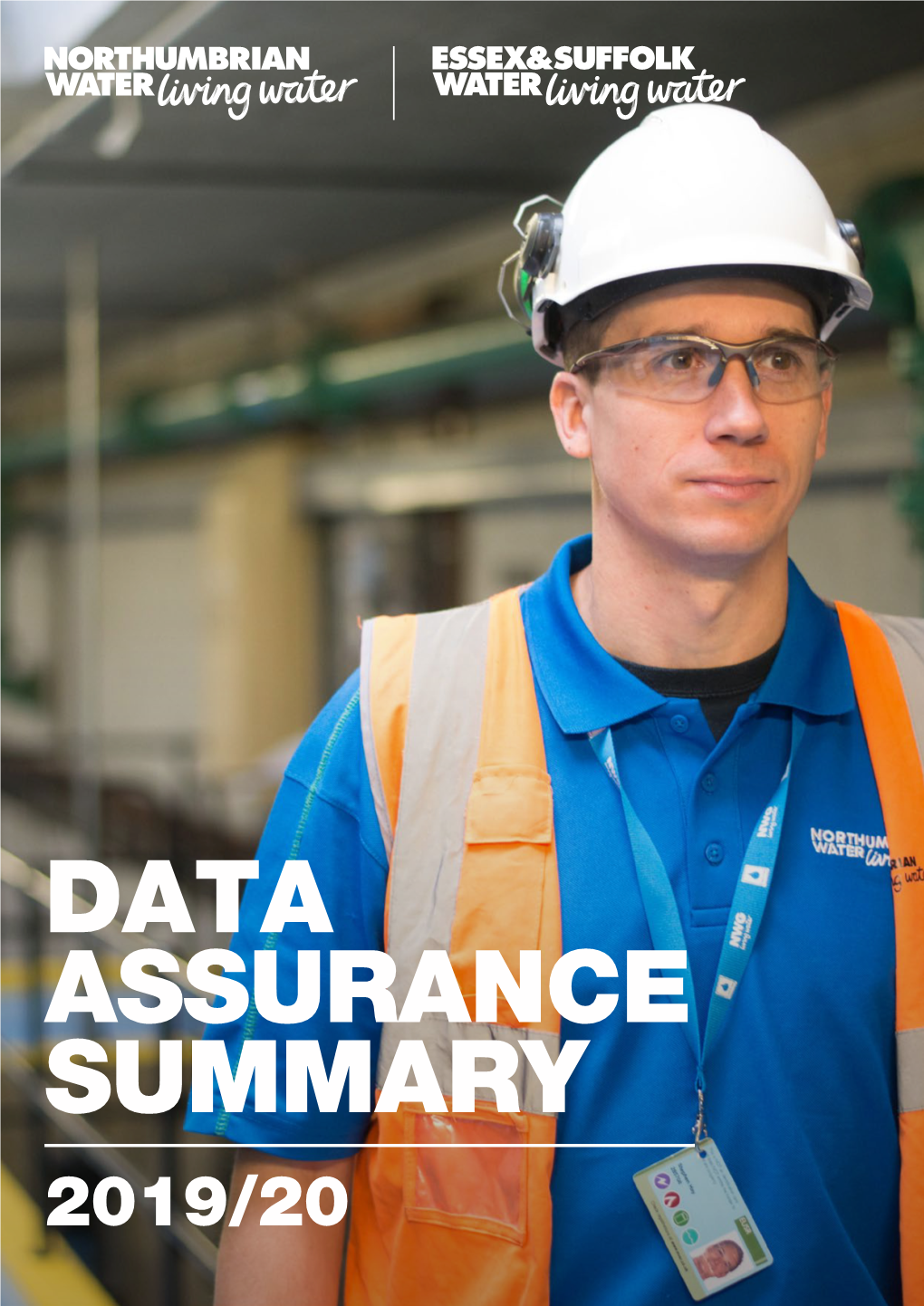 Data Assurance Summary 2019/20