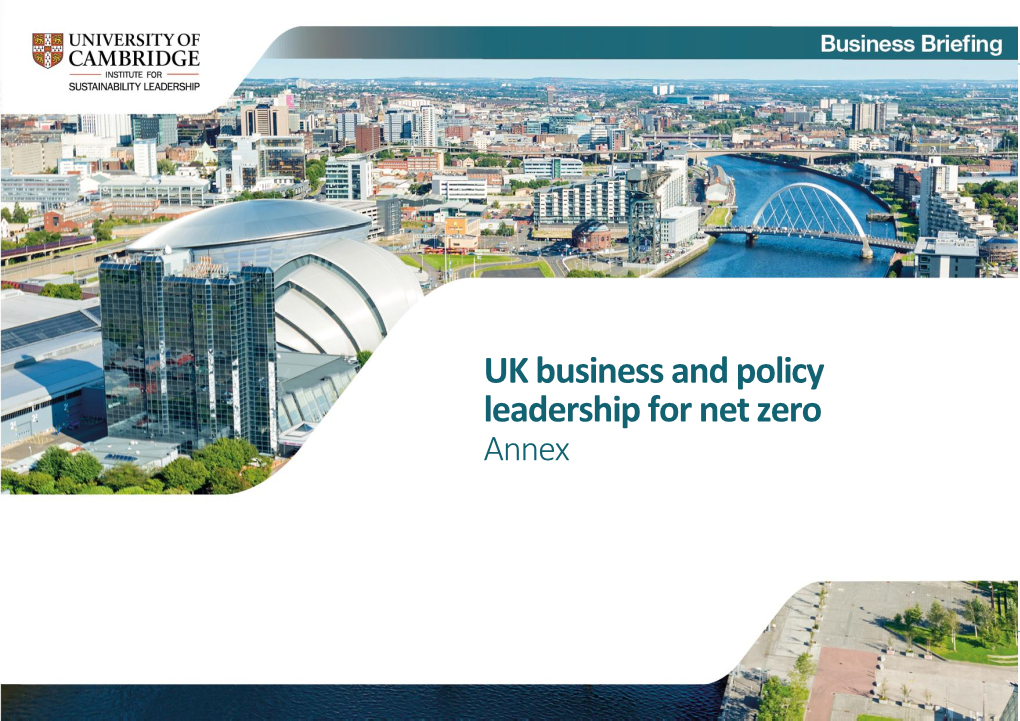 UK Business and Policy Leadership for Net Zero: Analysis of Progress to Reduce Emissions